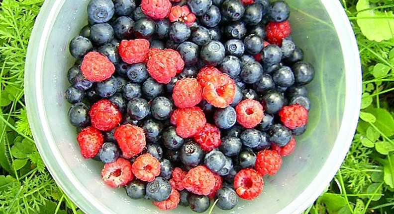 Mixed Berries With Cinnamon Sprinkles